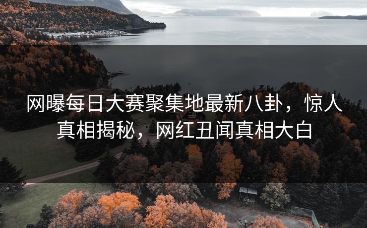 网曝每日大赛聚集地最新八卦，惊人真相揭秘，网红丑闻真相大白
