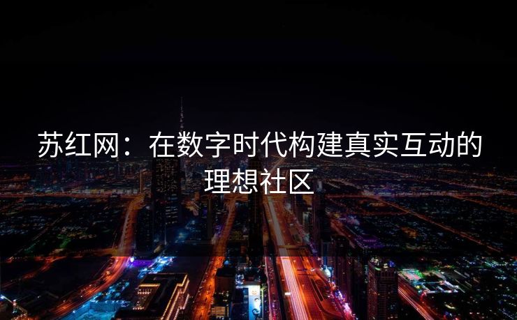 苏红网：在数字时代构建真实互动的理想社区
