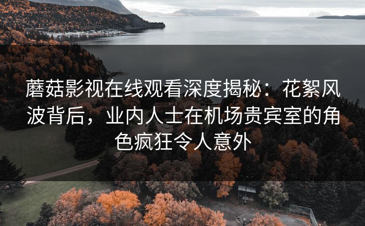 蘑菇影视在线观看深度揭秘：花絮风波背后，业内人士在机场贵宾室的角色疯狂令人意外