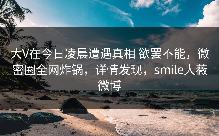 大V在今日凌晨遭遇真相 欲罢不能，微密圈全网炸锅，详情发现，smile大薇微博
